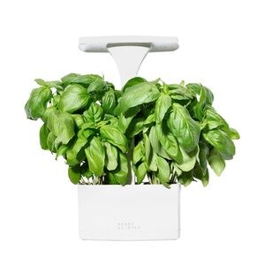 Short Stories Led Indoor planter NEW in box